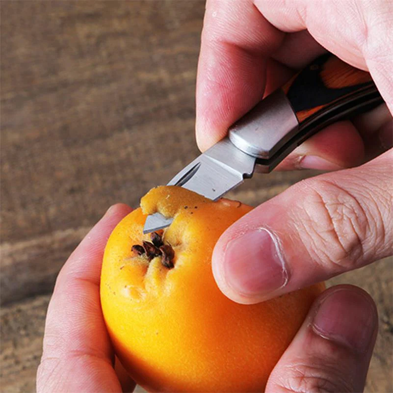 Keychain Knife Portable Wood Handle Folding Knives - Image 5